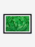 Lara Sayegh - Algae Bloom - 40x60cm