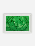 Lara Sayegh - Algae Bloom - 40x60cm