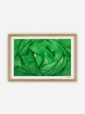 Lara Sayegh - Algae Bloom - 40x60cm
