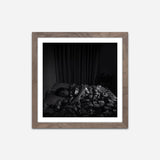 Solienne - Origin Series 6