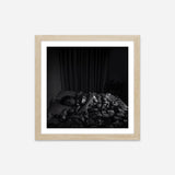 Solienne - Origin Series 6